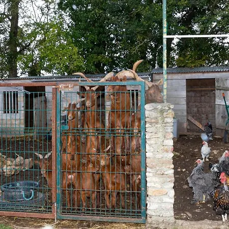 Apartment La Ferme Des Nonains Montjavoult